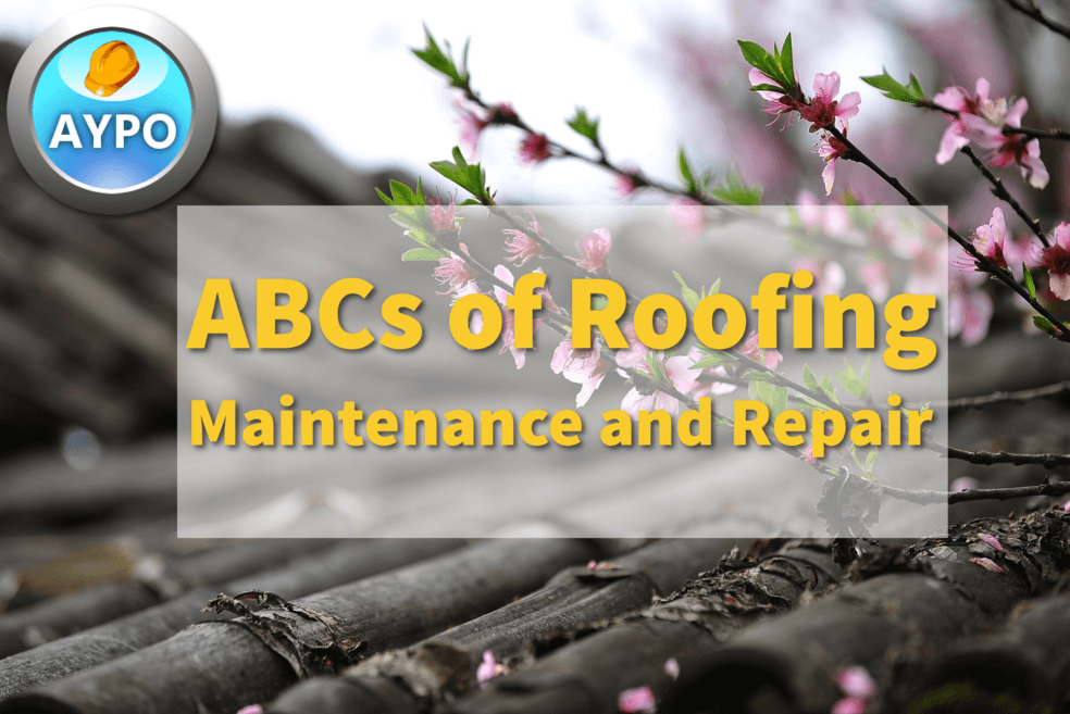 promotional video showing demo content